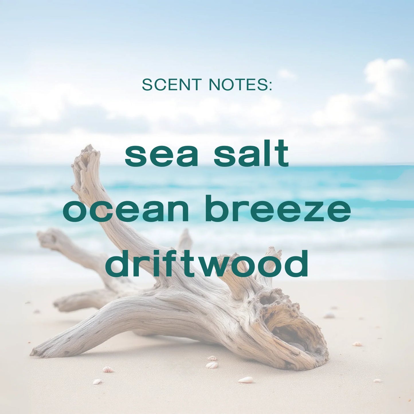 Coastal Azul Body Lotion