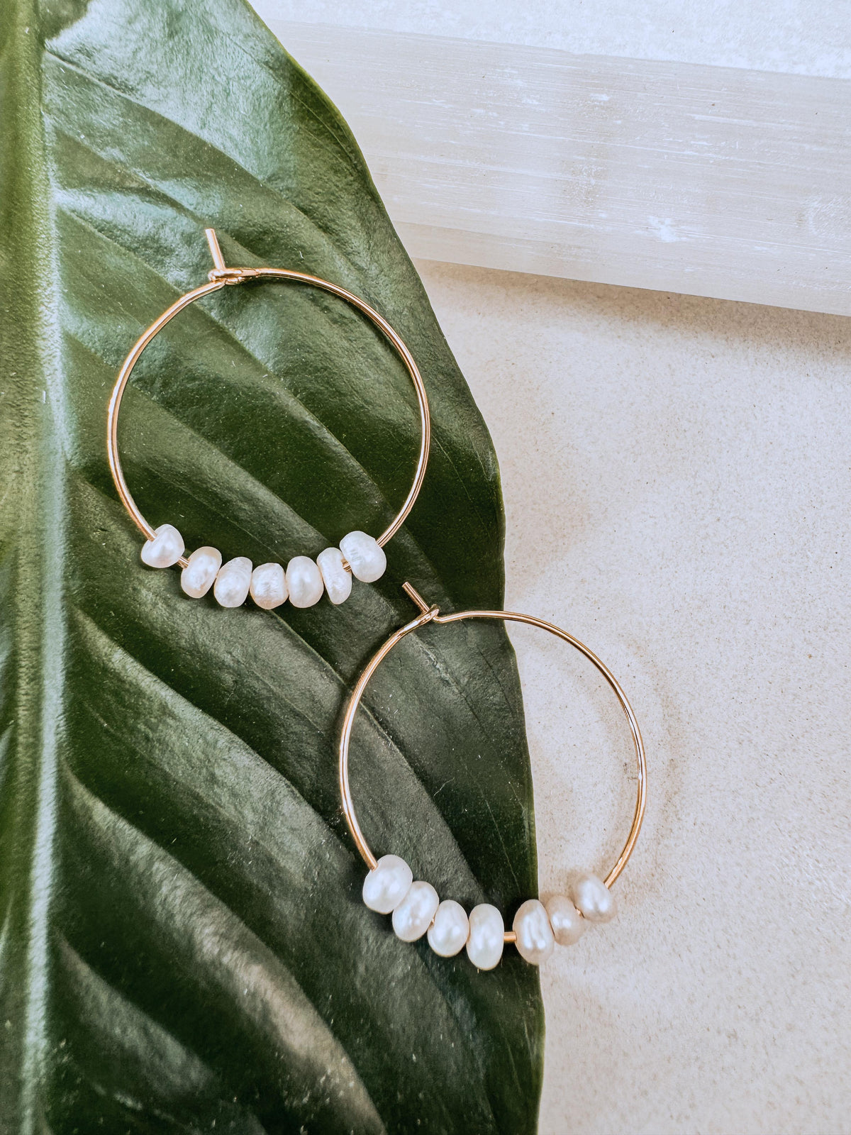 The Cha-Cha Hoops
