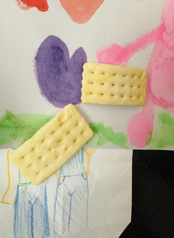 Crackers Magnet/ Skyflakes Magnet
