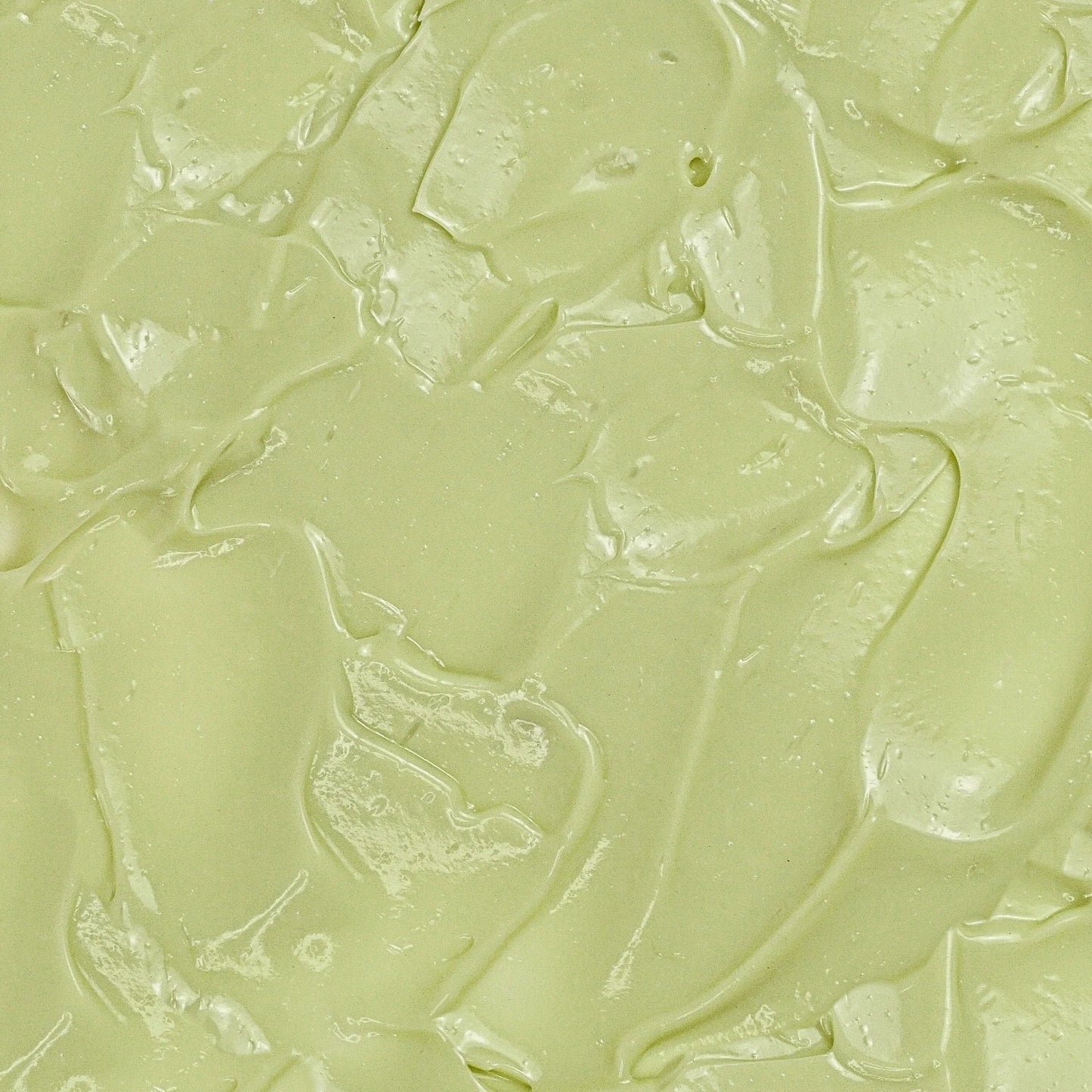 Palm Verde Body Lotion