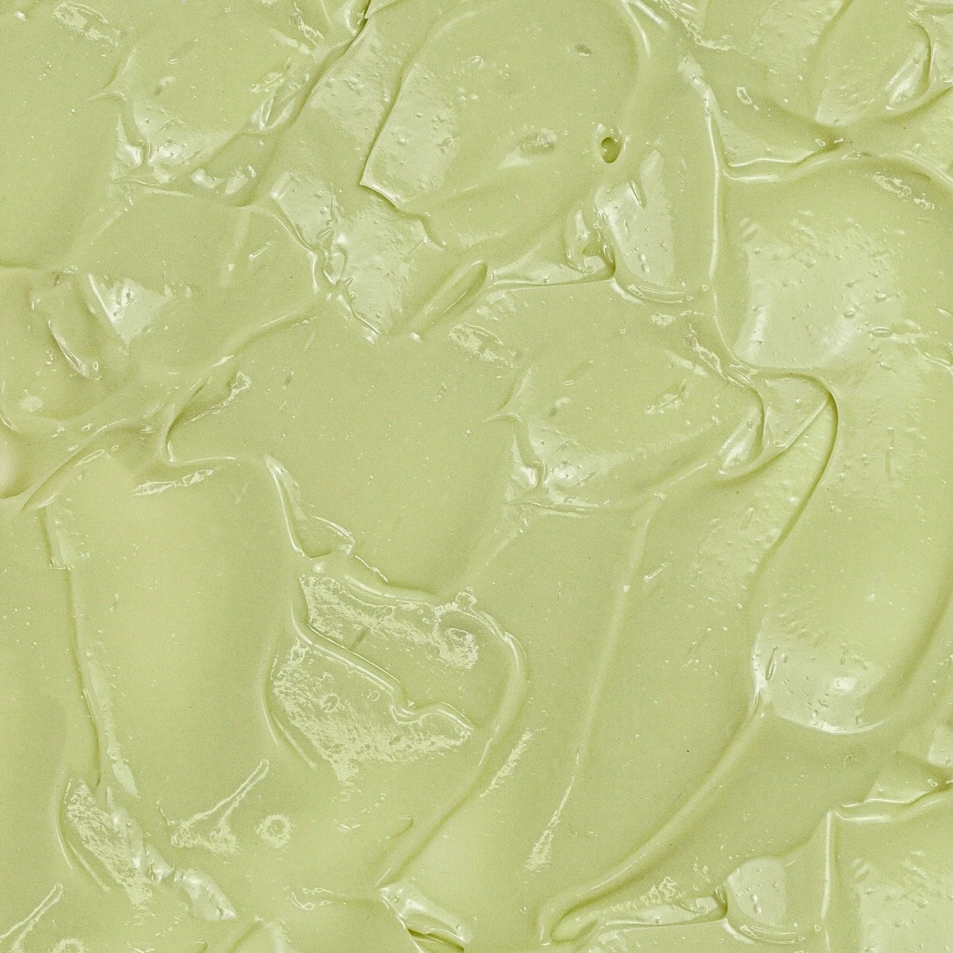 Palm Verde Body Lotion