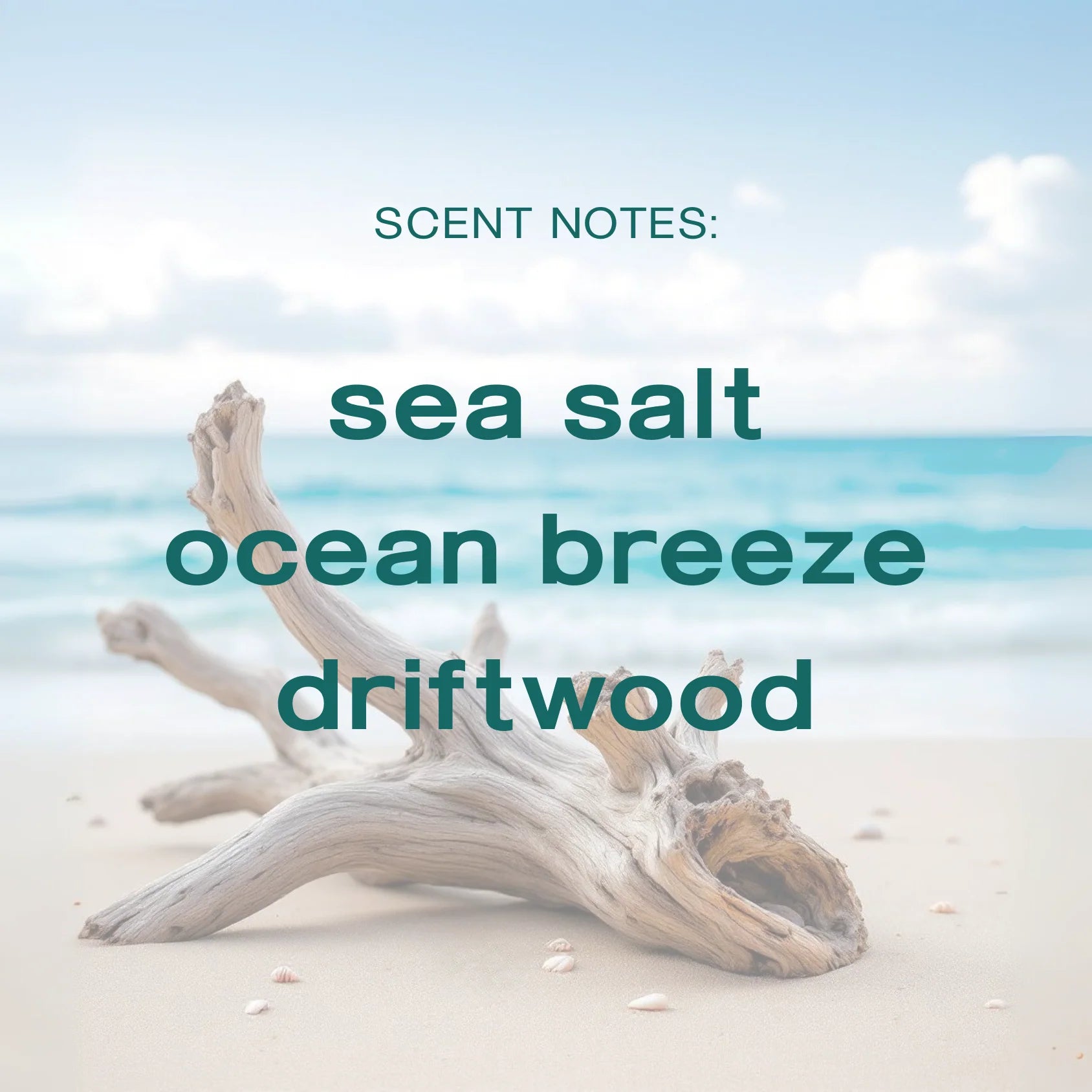 Coastal Azul Body Lotion